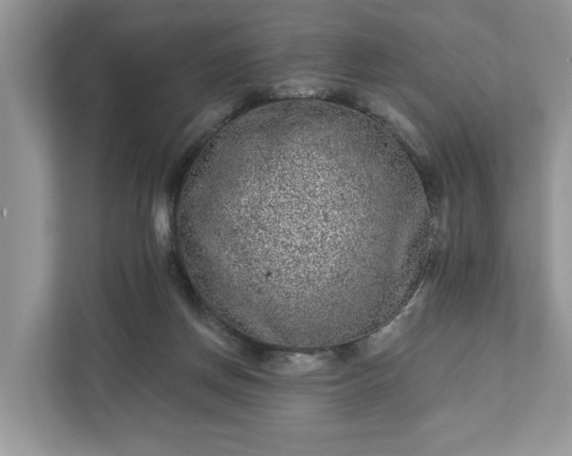 X0000111870166200907301123