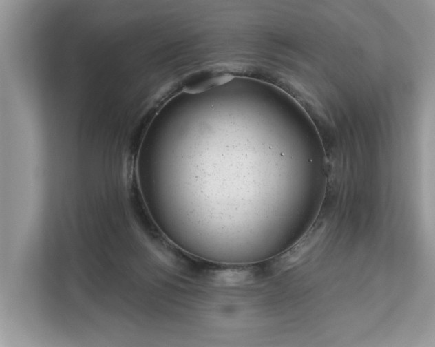 X0000111870168200907301123