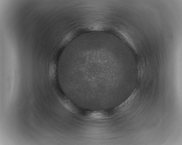 X0000111870171200907301124