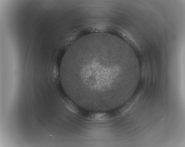 X0000111870173200907301124