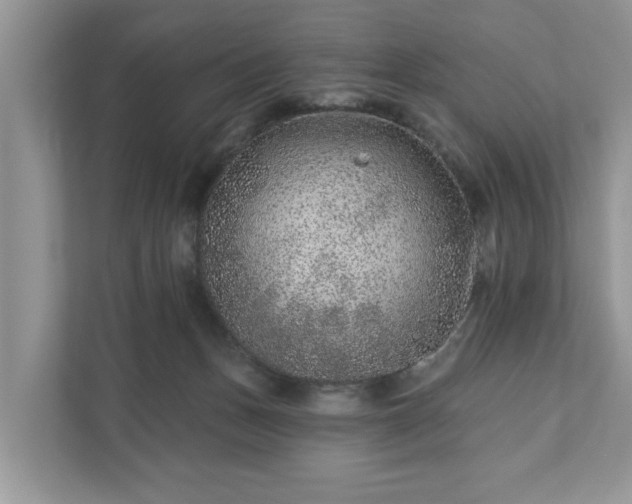 X0000111870175200907301124