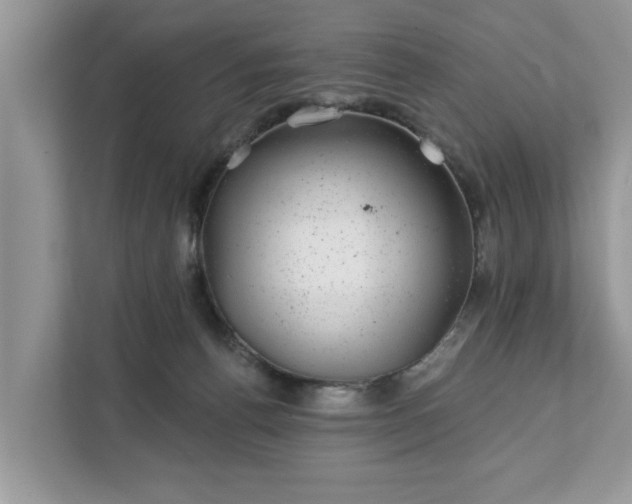 X0000111870176200907301124