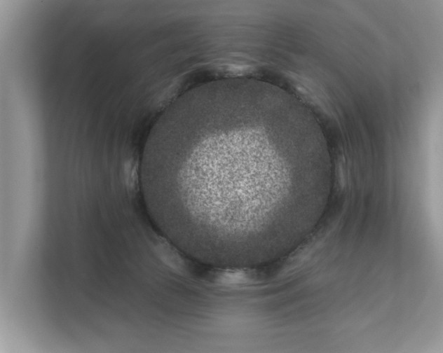 X0000111870177200907301124