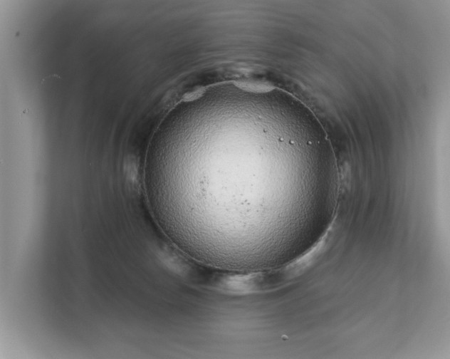 X0000111870178200907301124