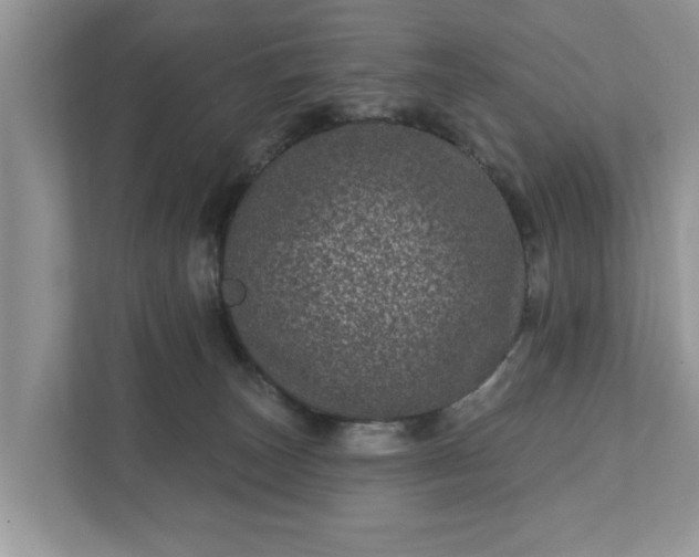 X0000111870179200907301124