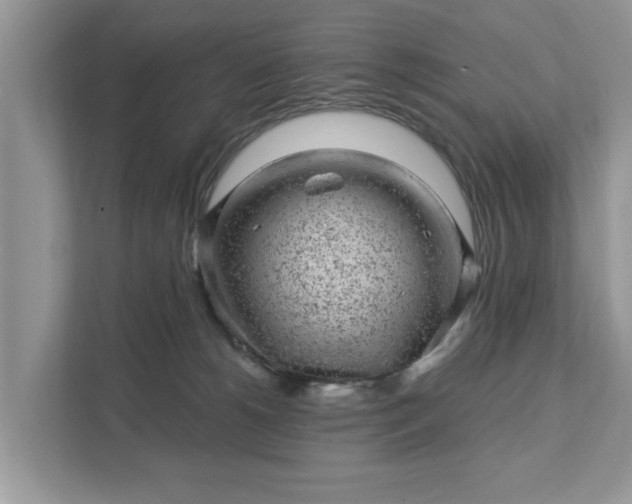 X0000111870180200907301124