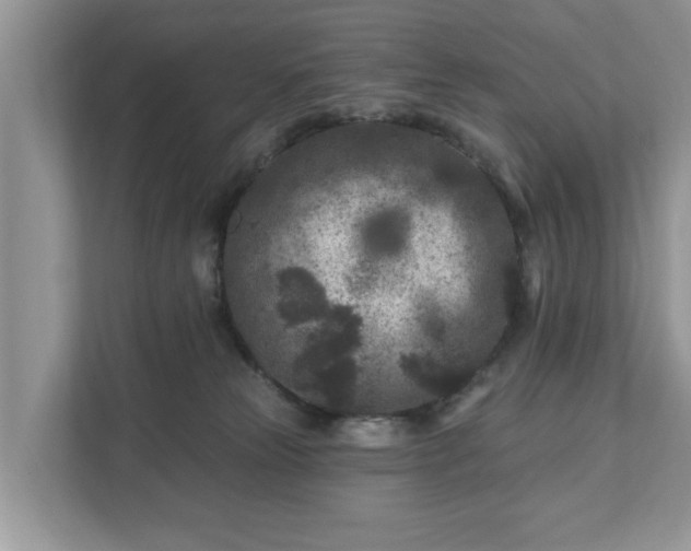 X0000111870181200907301124