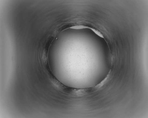 X0000111870186200907301124