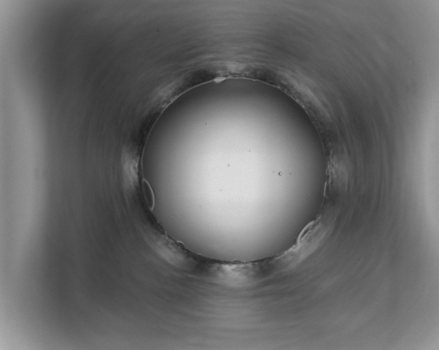 X0000111870188200907301124