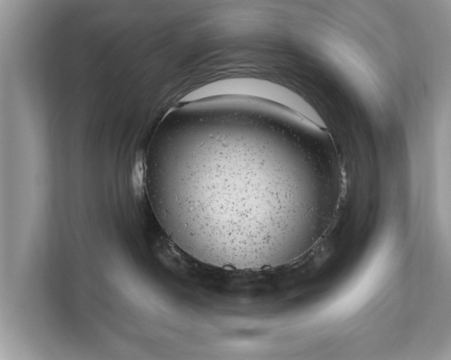 X0000111870190200907301124