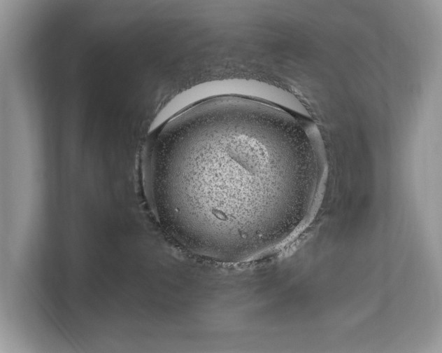 X0000111870192200907301124