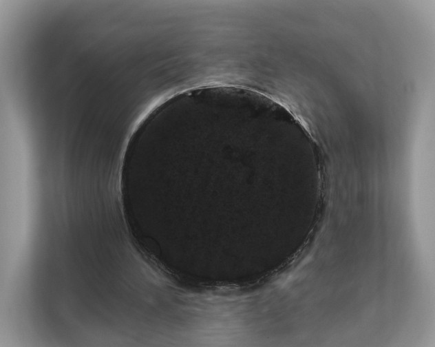 X0000111870196200907301123