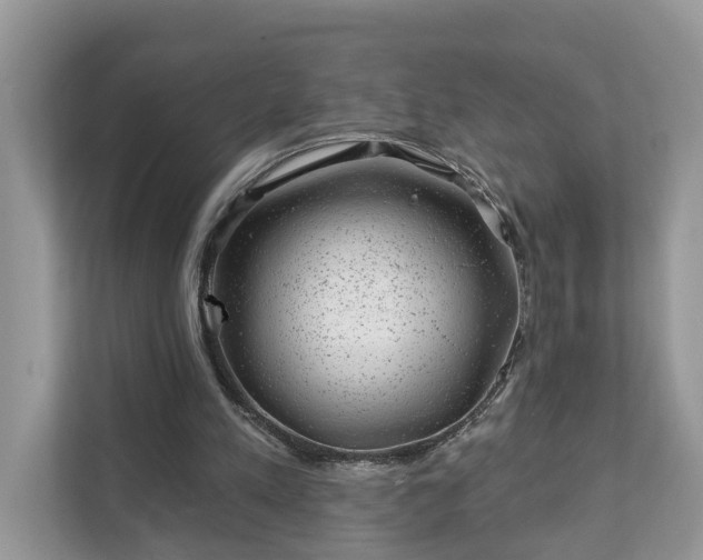 X0000111870197200907301123