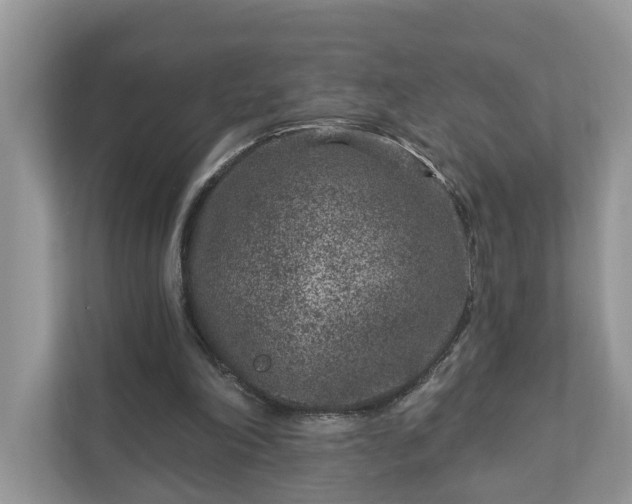 X0000111870198200907301123