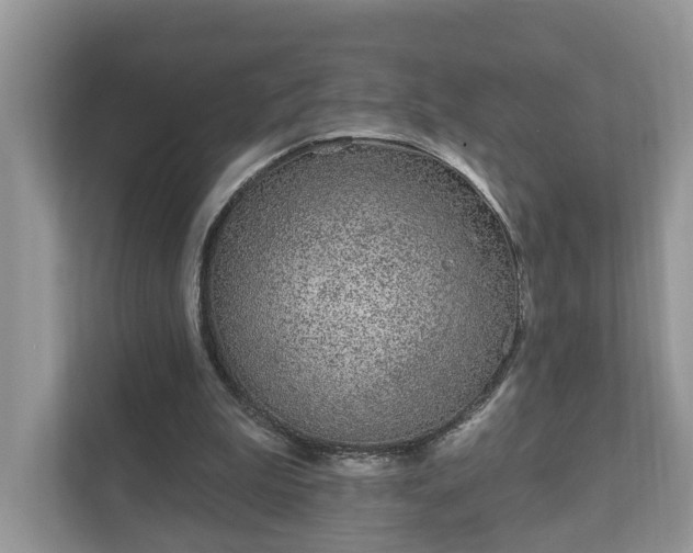 X0000111870199200907301123