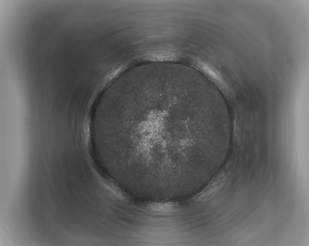 X0000111870202200907301123