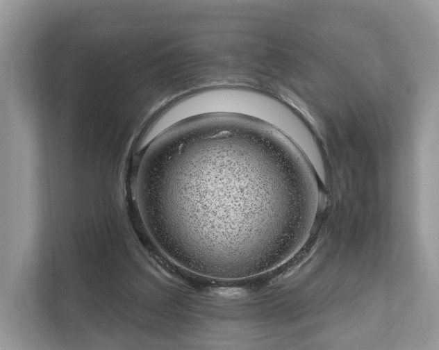 X0000111870203200907301123