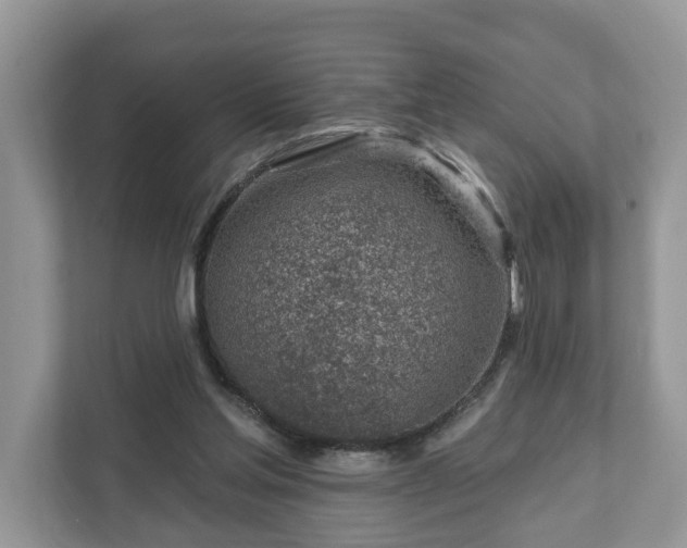 X0000111870205200907301123