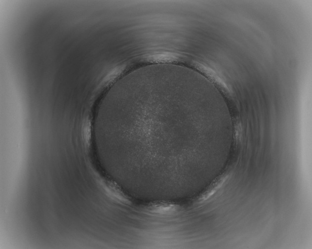 X0000111870206200907301123