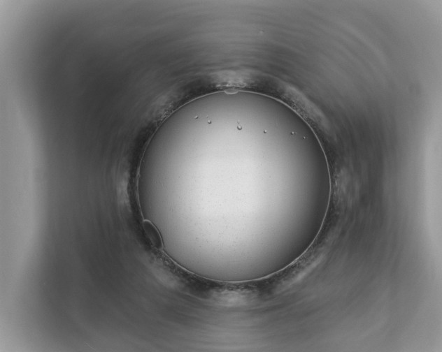 X0000111870209200907301123