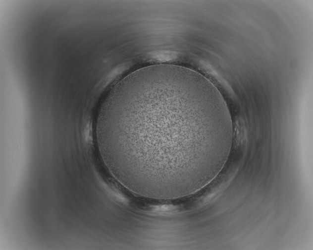 X0000111870212200907301123