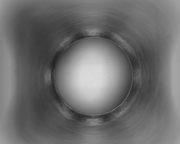 X0000111870213200907301123