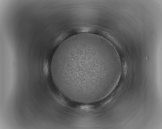 X0000111870216200907301123