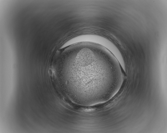 X0000111870217200907301123