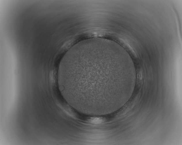 X0000111870218200907301123