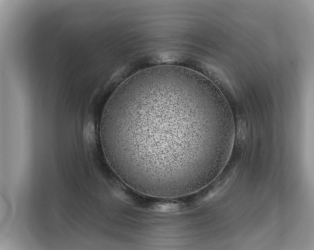 X0000111870220200907301123