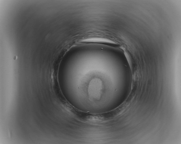 X0000111870223200907301123