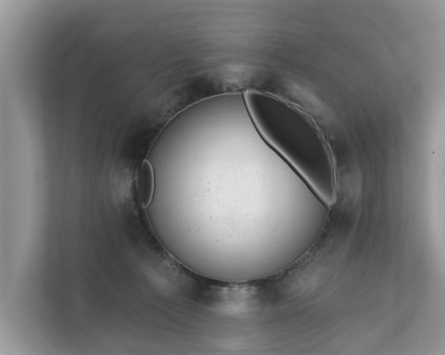 X0000111870225200907301123