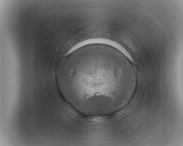 X0000111870229200907301123