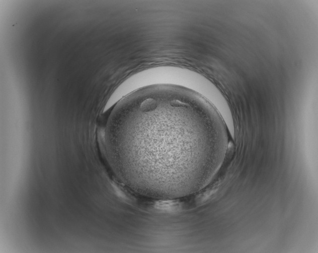 X0000111870231200907301123