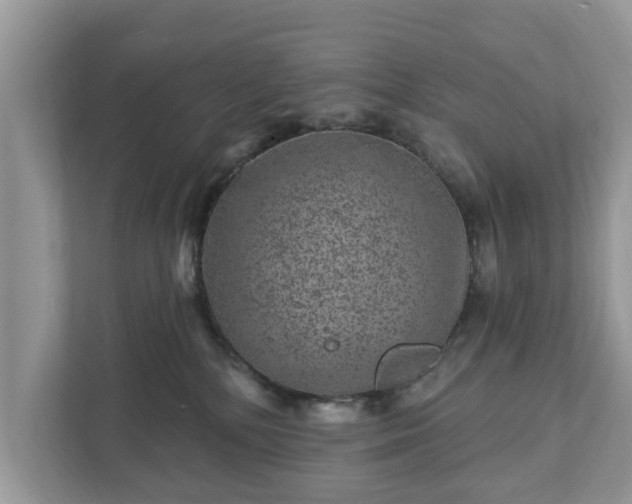 X0000111870232200907301123