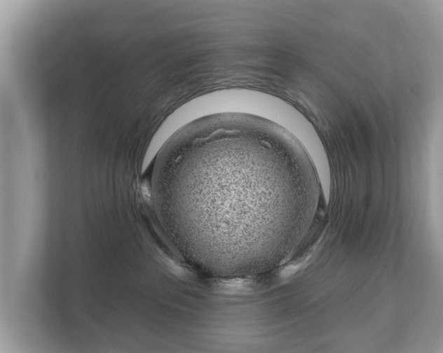 X0000111870237200907301123