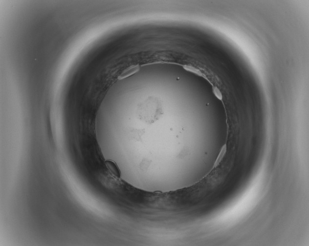 X0000111870239200907301123