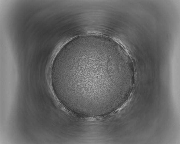 X0000111870241200907301122