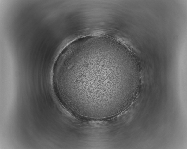 X0000111870242200907301122