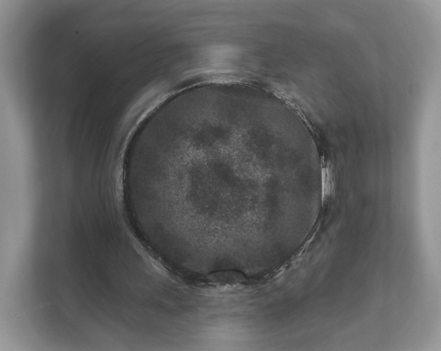 X0000111870243200907301122