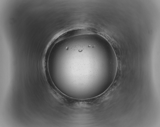 X0000111870244200907301122