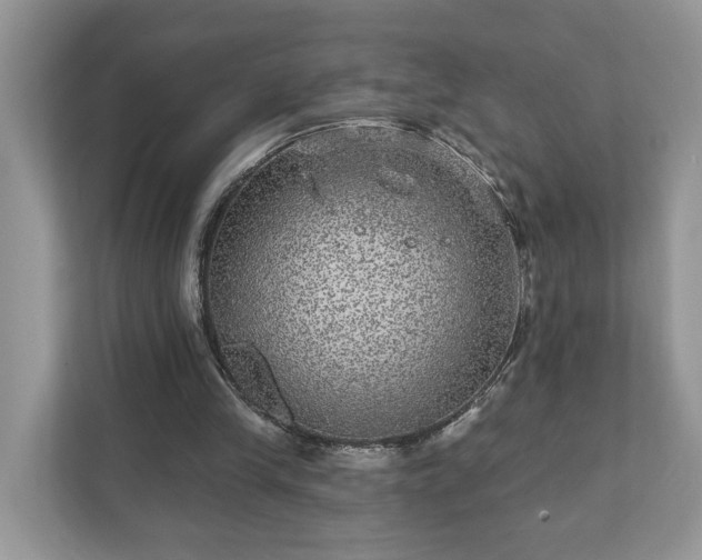 X0000111870245200907301122