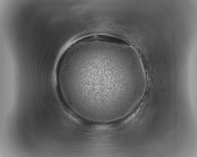 X0000111870246200907301122