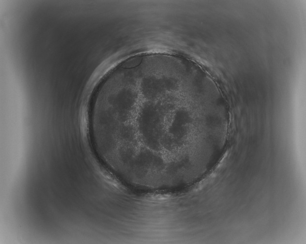 X0000111870247200907301122