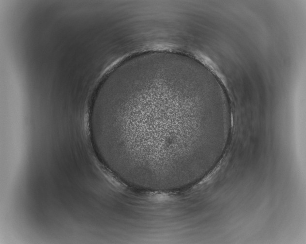 X0000111870249200907301122