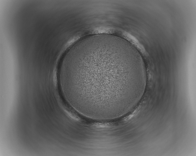 X0000111870250200907301122