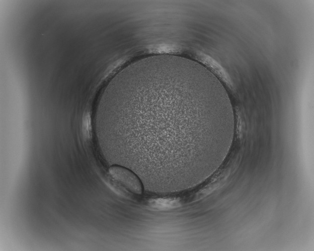 X0000111870251200907301122