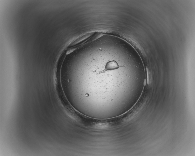 X0000111870252200907301122