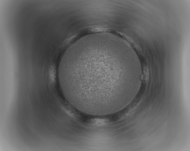 X0000111870255200907301122