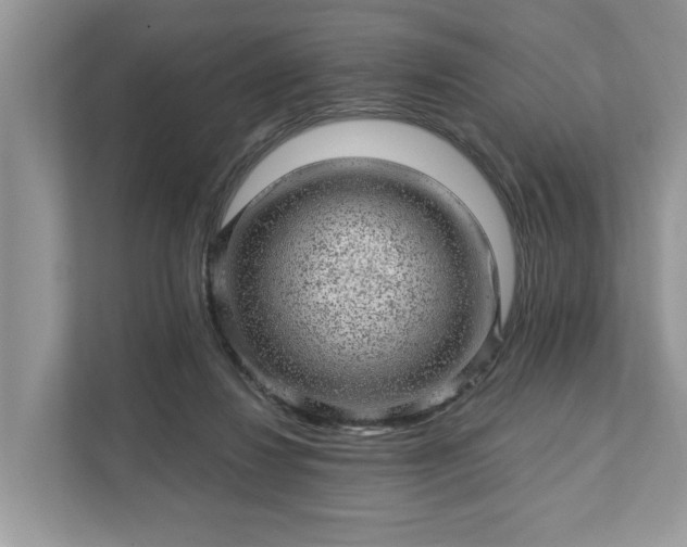 X0000111870260200907301122